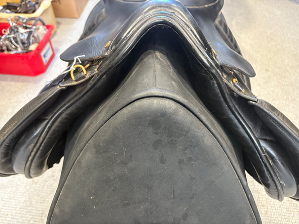 #2186 17.5 Launceston Equestrian GP WIDE