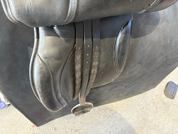 #2186 17.5 Launceston Equestrian GP WIDE