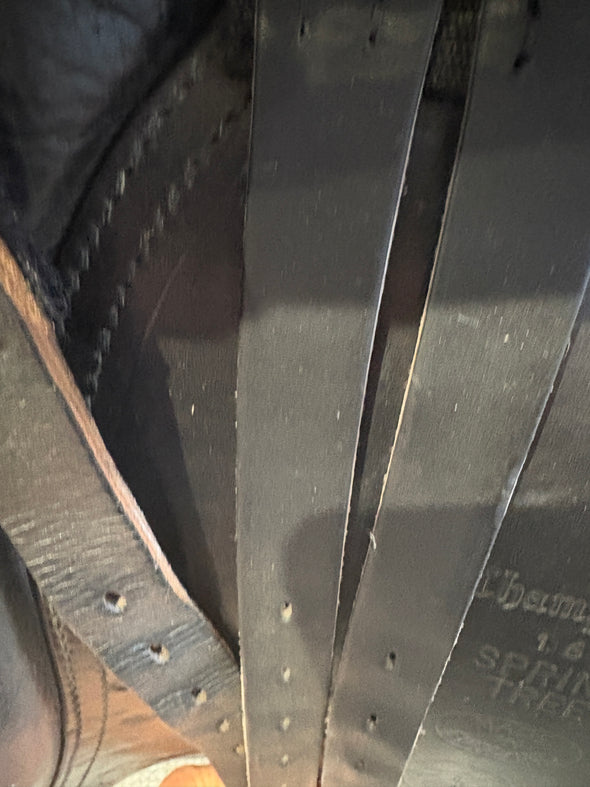 #2219 16.5" Champion VSD/WH high wither N/M