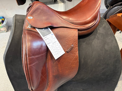 #2347 17" Jaguar (Harry Dabbs) XKC Dressage MED