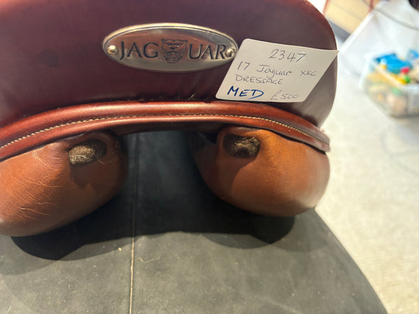 #2347 17" Jaguar (Harry Dabbs) XKC Dressage MED